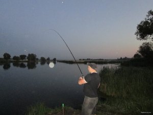 IMG_0410.JPG