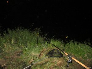 IMG_0422.JPG