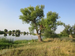 IMG_0446.JPG