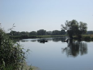 IMG_0454.JPG