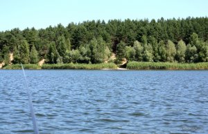 Копия (2) 789 012.jpg