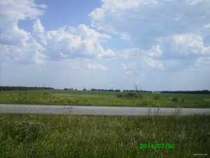 PICT0002.JPG