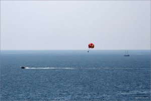 IMG_9969 copy.jpg