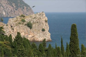 IMG_999092 copy.jpg