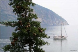 IMG_999749 copy.jpg