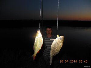 DSCN7325.jpg