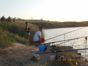 DSCN7464.jpg