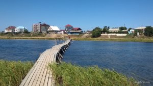 WP_20140727_053.jpg