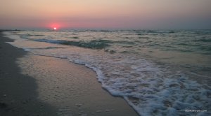 WP_20140805_026.jpg