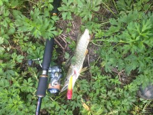IMG_1697.JPG