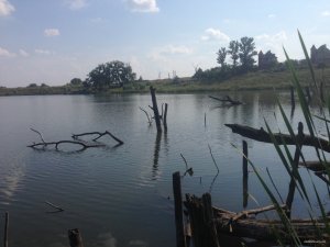 IMG_1706.JPG