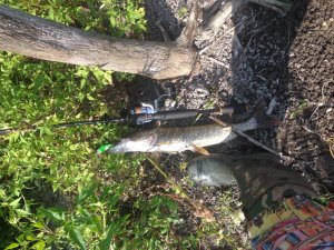 IMG_1708.JPG