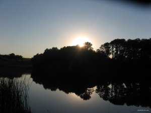 IMG_0351.JPG