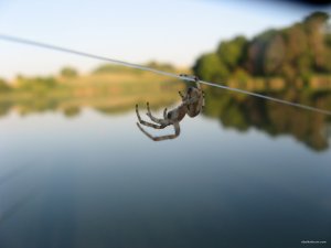 IMG_0355.JPG