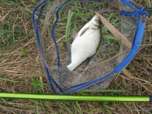 IMG_3047.JPG