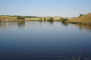 DSC02019.JPG