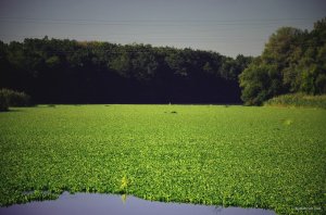 wIMX5agRCUo.jpg