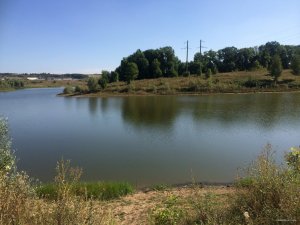 IMG_0126.JPG