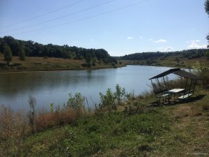 IMG_0129.JPG
