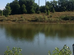 IMG_0132.JPG