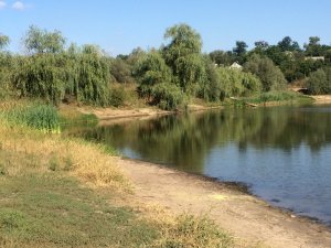 IMG_0139.JPG