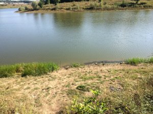 IMG_0140.JPG