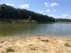 IMG_0151.JPG