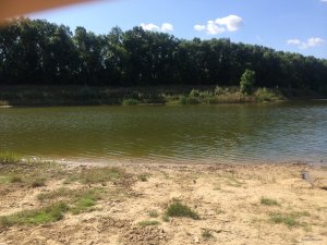 IMG_0153.JPG