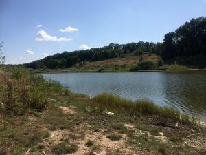 IMG_0154.JPG