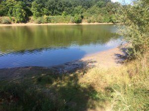 IMG_0158.JPG