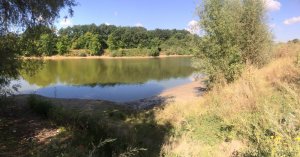 IMG_0161.JPG