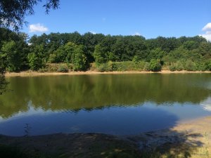 IMG_0163.JPG