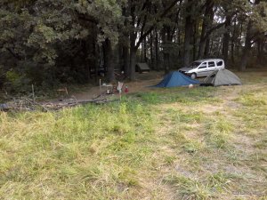 IMG_20140816_072306.jpg
