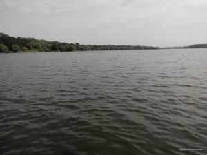 IMG_20140816_115754.jpg