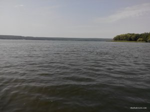 IMG_20140816_115817.jpg