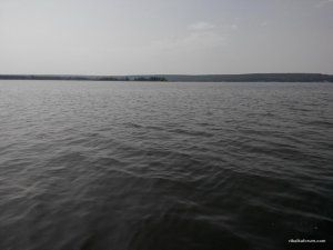 IMG_20140816_115824.jpg