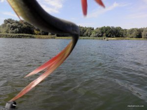 IMG_20140816_155149.jpg
