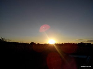 IMG_20140816_192506.jpg