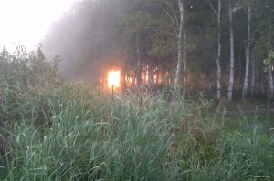 IMAG0645.jpg