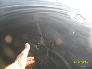 SAM_7700.JPG