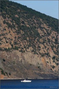 IMG_3718 copy.jpg