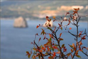 IMG_3997 copy.jpg