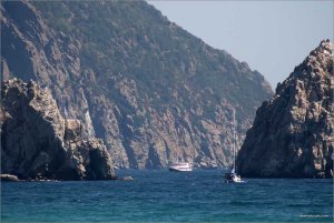 IMG_3531 copy.jpg