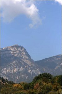 IMG_4361 copy.jpg