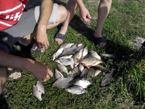 IMG_20140907_152409.jpg