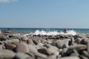 IMG_0502.JPG