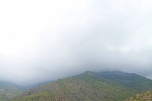 IMG_1370.JPG
