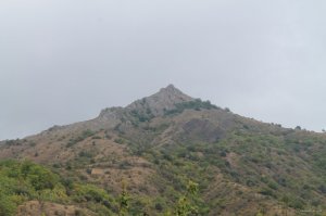 IMG_1372.JPG