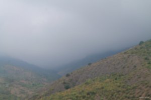 IMG_1377.JPG