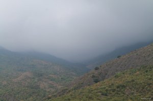 IMG_1378.JPG